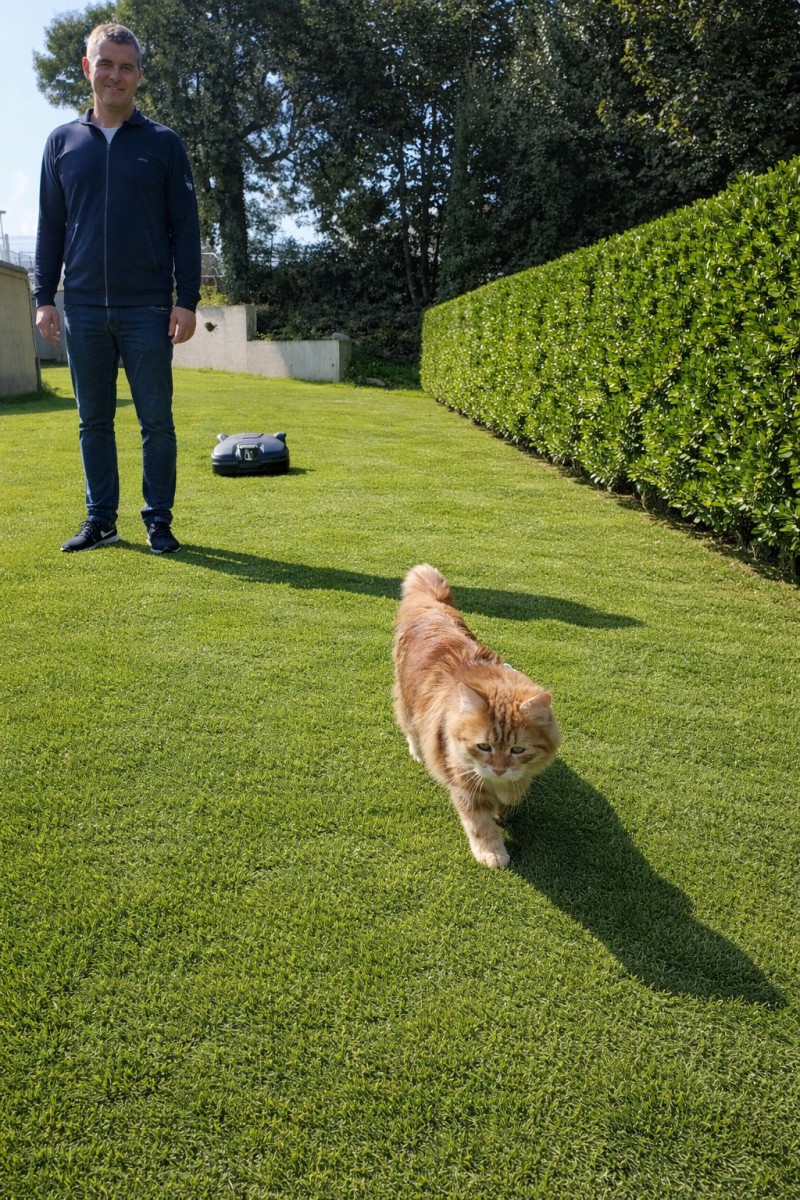 Hombre y gato en el jardín soleado.jpg